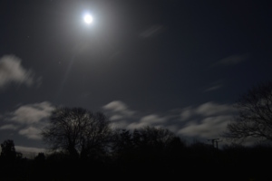 Talk: Imaging and Imagining the Universe